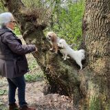 Profilfoto von Andrea Ploen