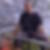 Profilbild von Tobias Küster