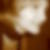 Profilbild von Maren Sablowsky