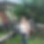 Profilbild von Marianne Thiemer