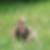 Profilbild von Claudia Schick