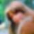 Profilbild von Lucia Pinsel
