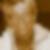 Profilbild von Bettina Stamm