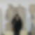 Profilbild von Andrea Mootz