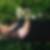 Profilbild von Heike Saltner