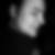 Profilbild von Steve Thiele