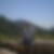 Profilbild von Carsten Lindike