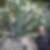 Profilbild von Andreas Fabris
