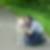 Profilbild von Monira Gaieb