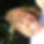 Profilbild von Beate Wrang