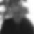 Profilbild von Peter Veyhl