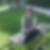 Profilbild von Martina Raffelt