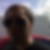 Profilbild von Michael Hartman