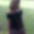 Profilbild von Ingrid Siesenop-Dahm