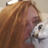 Profilfoto von Cornelia Koch