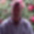Profilbild von Rolf Dunkhase