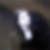 Profilbild von Hendrikje Warmt