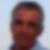 Profilbild von Stefan Fox