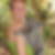 Profilbild von Susanne Hartmann