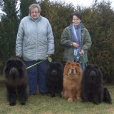 Profilfoto von Ingrid Stiel