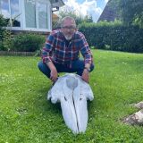 Profilfoto von Dirk Peters