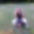 Profilbild von Daniela Brode