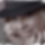 Profilbild von Gabriele Thiele