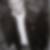 Profilbild von Niels Hermann Ahlff