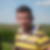 Profilbild von Ronald Rothe