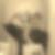 Profilbild von Isolde Kring