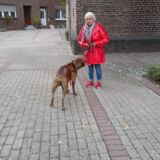 Profilfoto von Brigitte Steegmann