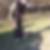 Profilbild von Gundula Bolot