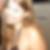 Profilbild von Magdalena Totz