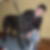 Profilbild von Elfriede Helmberger