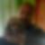 Profilbild von Geralf Diemar
