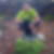 Profilbild von Maik Lange