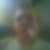 Profilbild von Dieter Marquardt