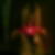 Profilbild von Kirstin Lauke