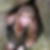 Profilbild von Sindy Ulbricht