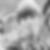 Profilbild von Freddy Schneider