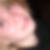 Profilbild von Steffi Greif