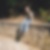Profilbild von Stefan Sulis