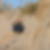 Profilbild von Verena Finger