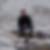 Profilbild von Roberto Anders