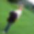 Profilbild von Denise Haupt