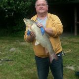 Profilfoto von Siegfried König