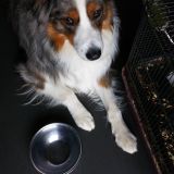 Profilfoto von Sabine Maaß