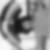 Profilbild von Berthold Fiebing