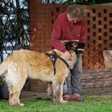 Profilfoto von Klaus Hermsdorf