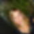 Profilbild von Doreen Wetzel
